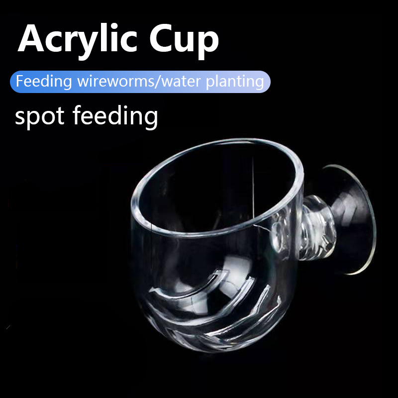 Aquarium Plant Utensils - Vaso per Piante Acquatiche in Acrilico
