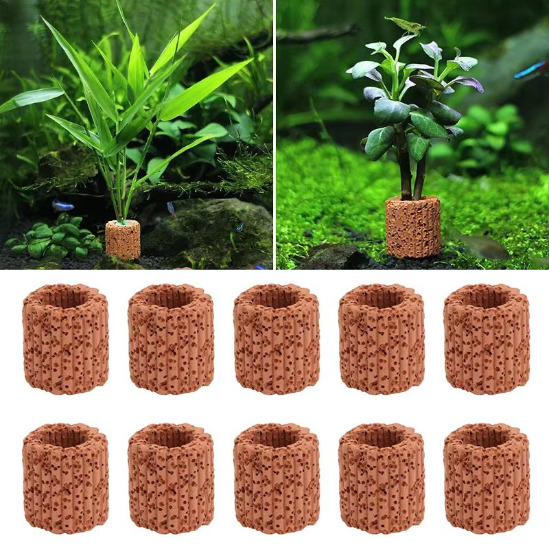 Aquarium Plant Utensils - Anello fisso per piante acquatiche per