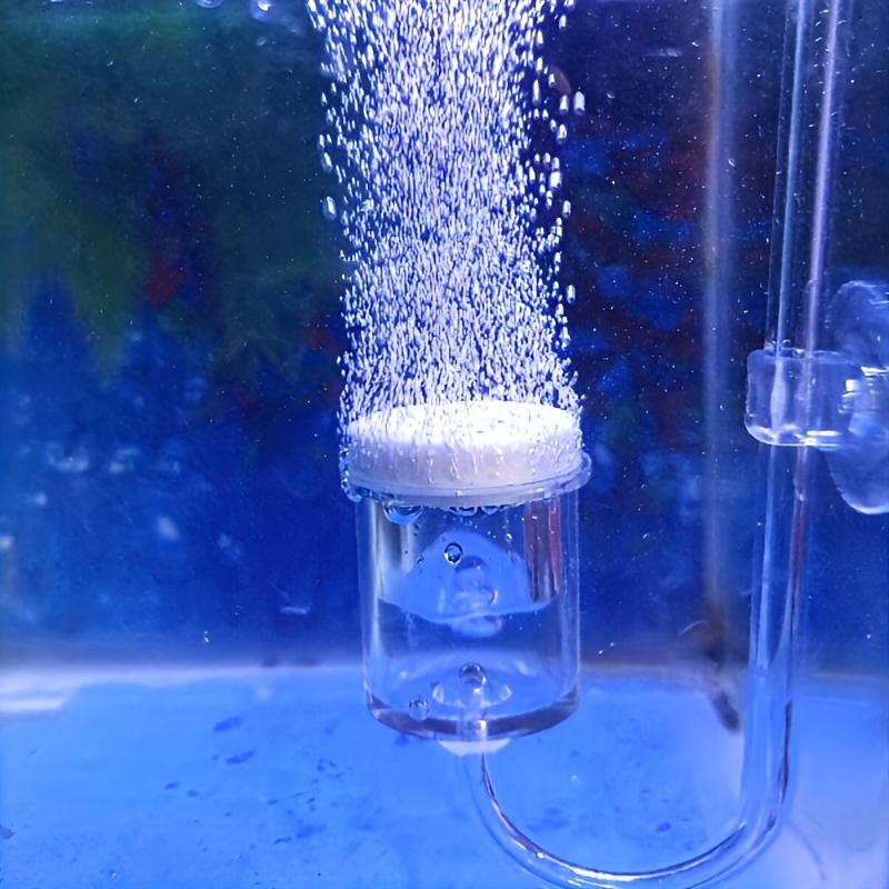 Aquarium Plant Delivery - Acquario Vetro CO2 Atomizzatore Diffusore Contatore