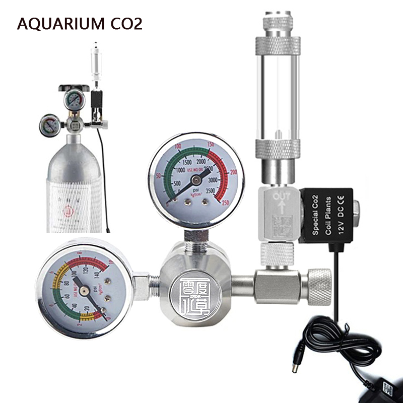 Planted Aquarium Accessories - Kit Regolatore CO2 per Acquario AC100-240V