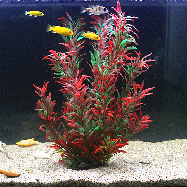 Aquarium Plant Delivery - 50CM Acquario artificiale Piante rare Acquario