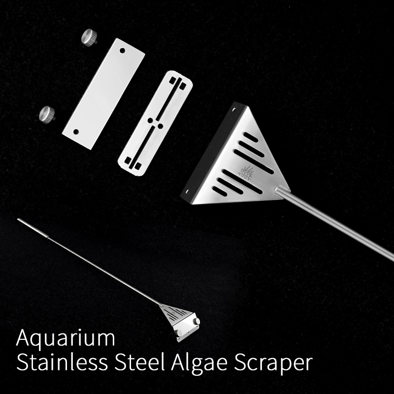 Week Aqua Acciaio inossidabile - Planted Aquarium Tools recensione e prezzo