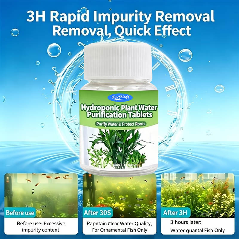 Compresse per la Purificazione - Aquarium Plant Delivery recensione e prezzo