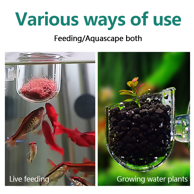 Vaso per Piante Acquatiche in  - Aquarium Plant Utensils recensione e prezzo