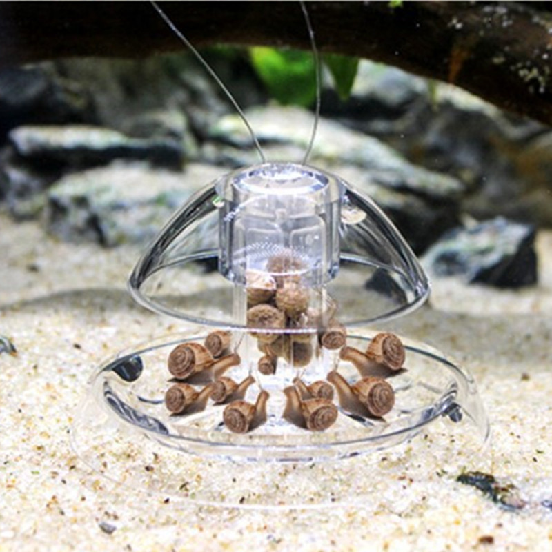 1PCS Fish Tank Aquarium Cleane - Planted Aquarium Tools recensione e prezzo