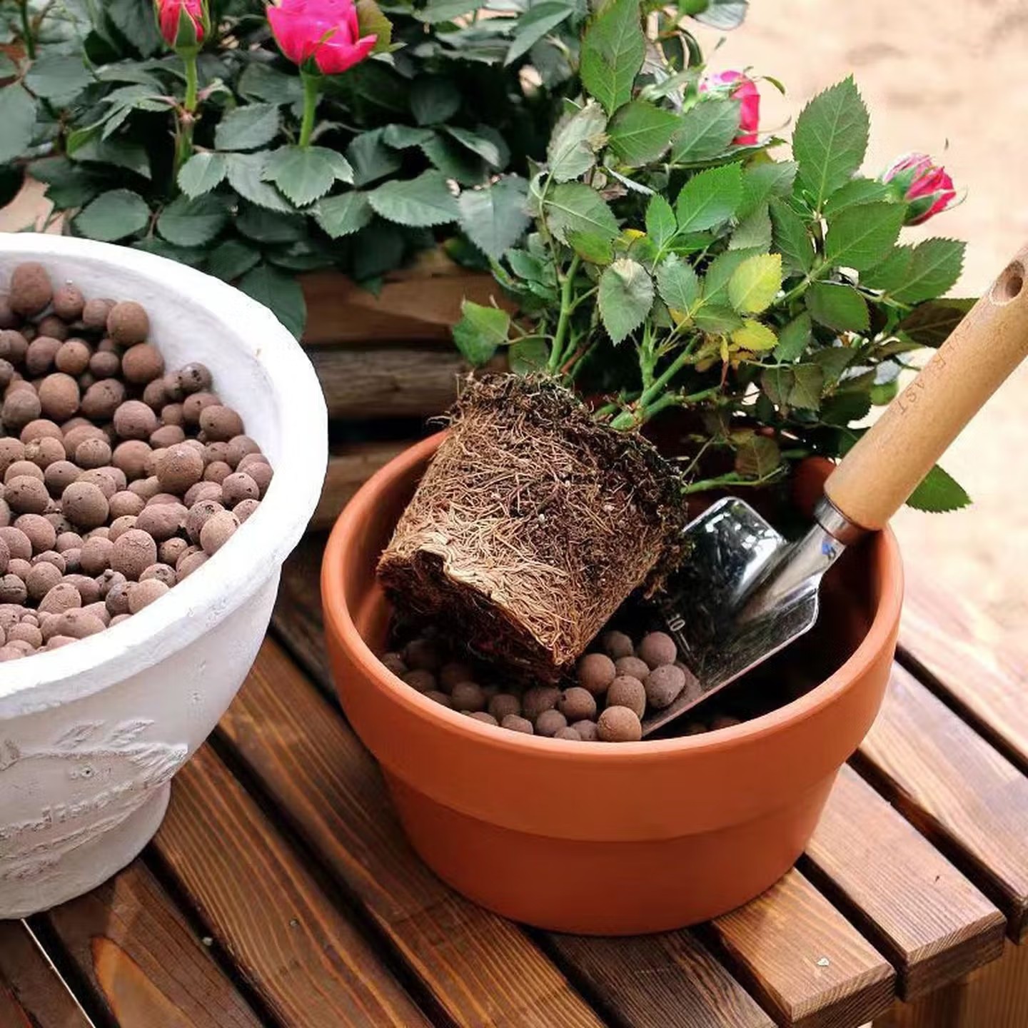 Argilla Espansa Riutilizzabile - Aquasoil Substrate recensione e prezzo