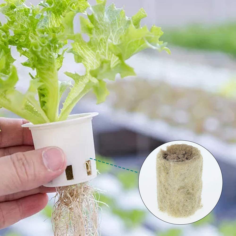 50 Pezzi Blocchi per Semina Id - Aquasoil Substrate recensione e prezzo