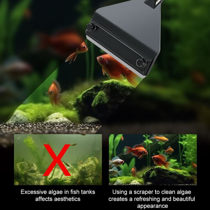 Rimozione delle alghe dell'acq - Aquarium Plant Utensils recensione e prezzo