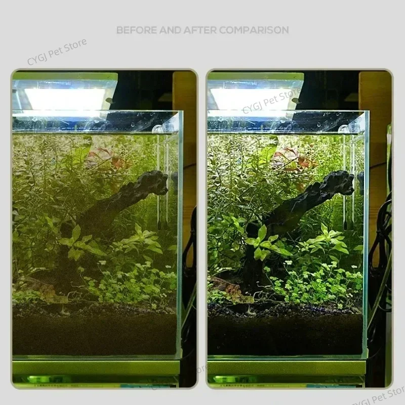 Strumento per la pulizia dell' - Planted Aquarium Tools recensione e prezzo