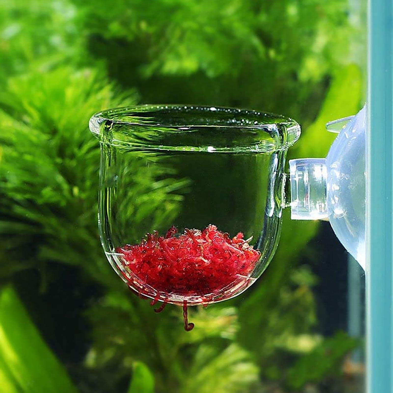 Vaso per piante acquatiche in  - Aquarium Plant Utensils recensione e prezzo