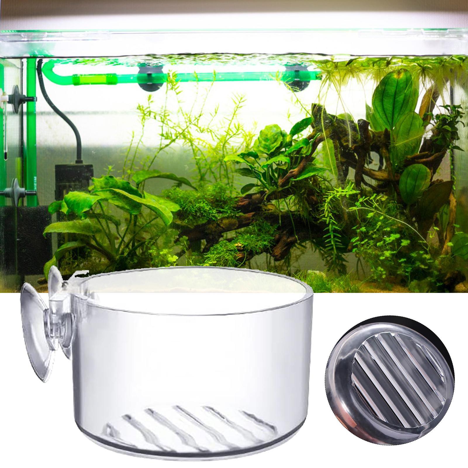 Vaso per piante acquatiche in  - Aquarium Plant Utensils recensione e prezzo