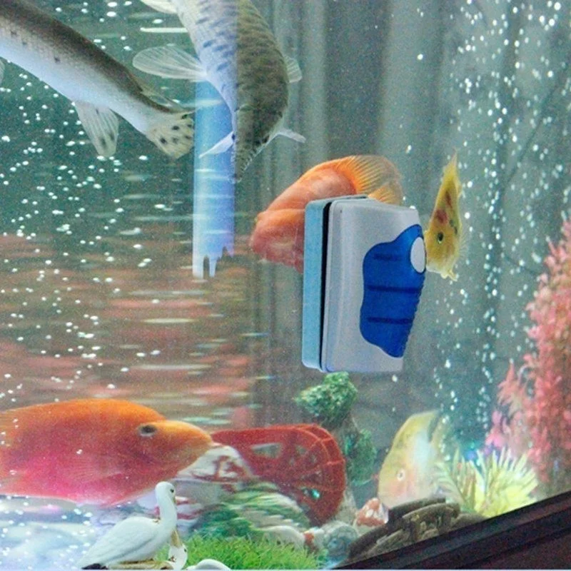 Detergente per raschietto per  - Planted Aquarium Tools recensione e prezzo