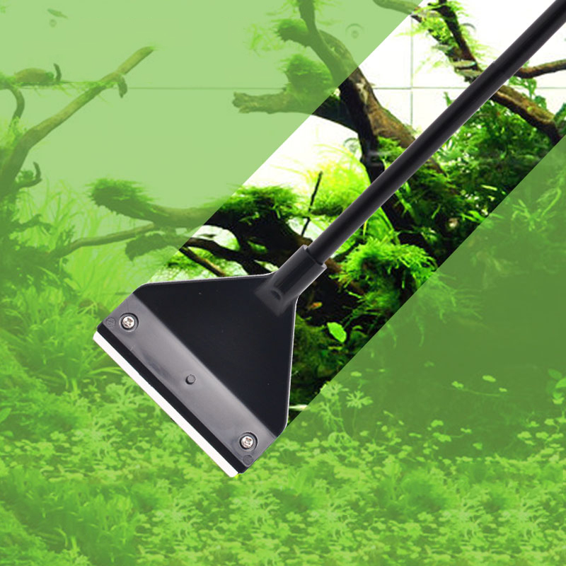 Rimozione delle alghe dell'acq - Aquarium Plant Utensils recensione e prezzo