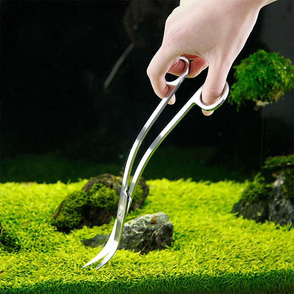 Accessori per acquari Strument - Planted Aquarium Tools recensione e prezzo