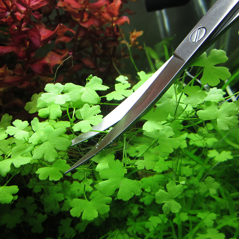 Accessori per acquari Strument - Planted Aquarium Tools recensione e prezzo