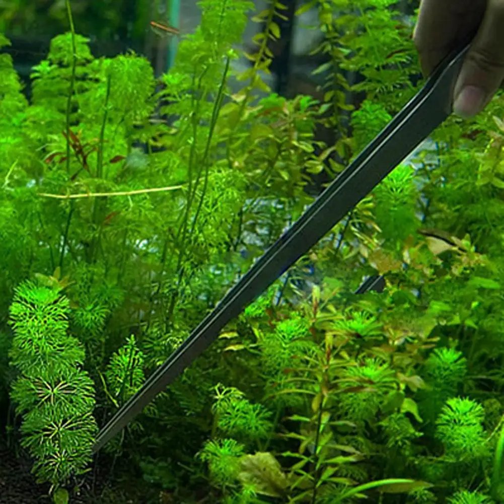 Universale 27CM acquario piant - Aquarium Plant Utensils recensione e prezzo