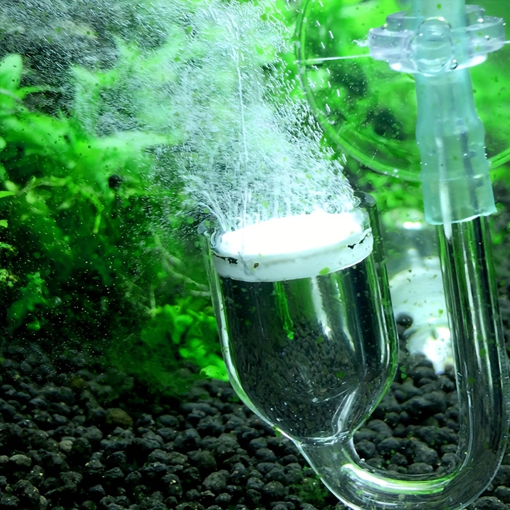 Acquario Vetro CO2 Atomizzator - Aquarium Plant Delivery recensione e prezzo