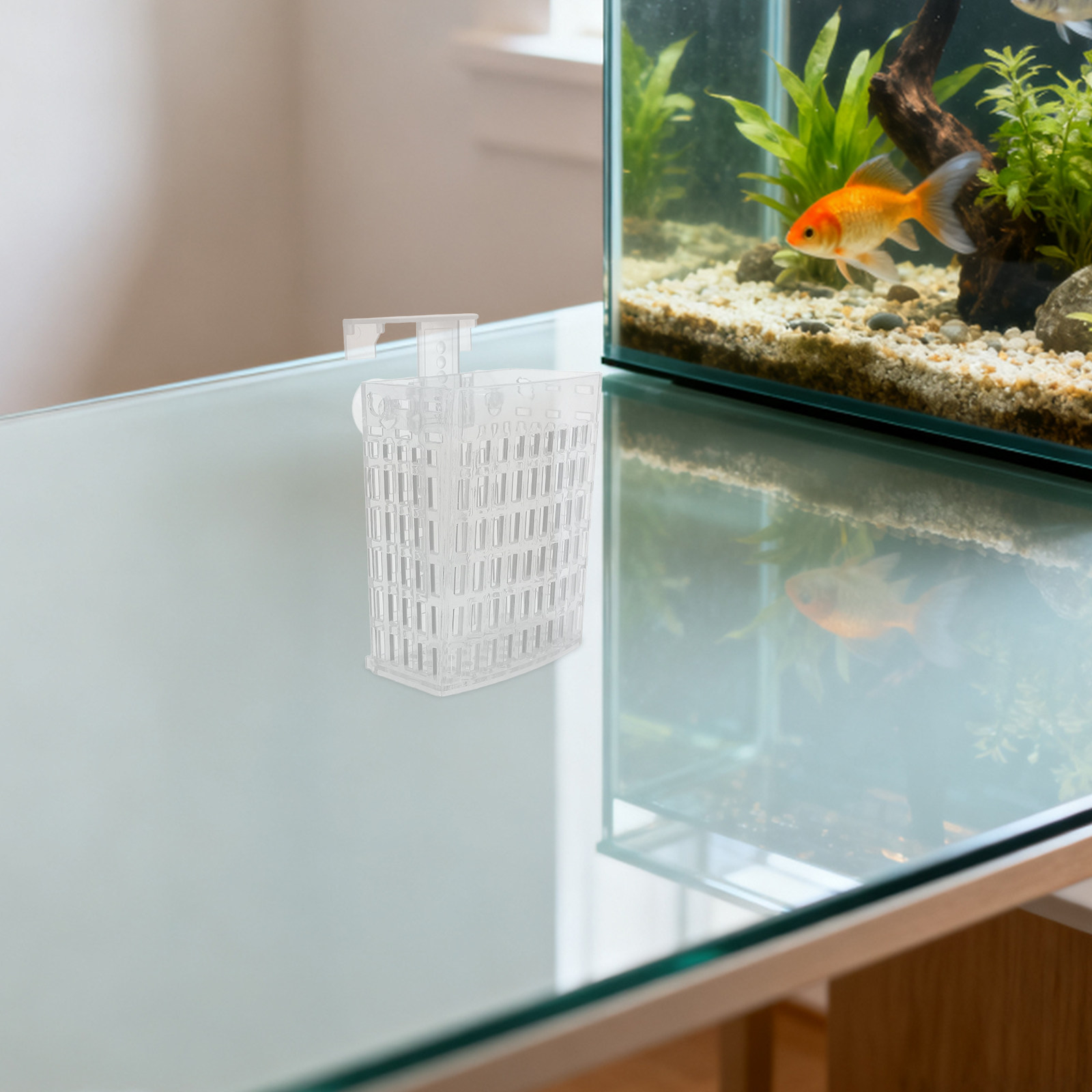 Supporto per Piante Acquatiche - Planted Aquarium Accessories recensione e prezzo