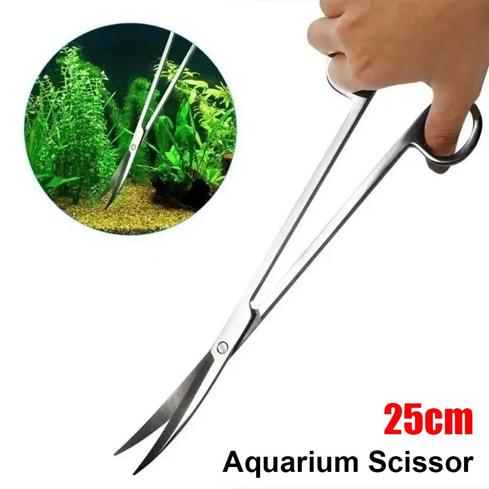 Forbici per Acquario in Acciai - Planted Aquarium Tools recensione e prezzo