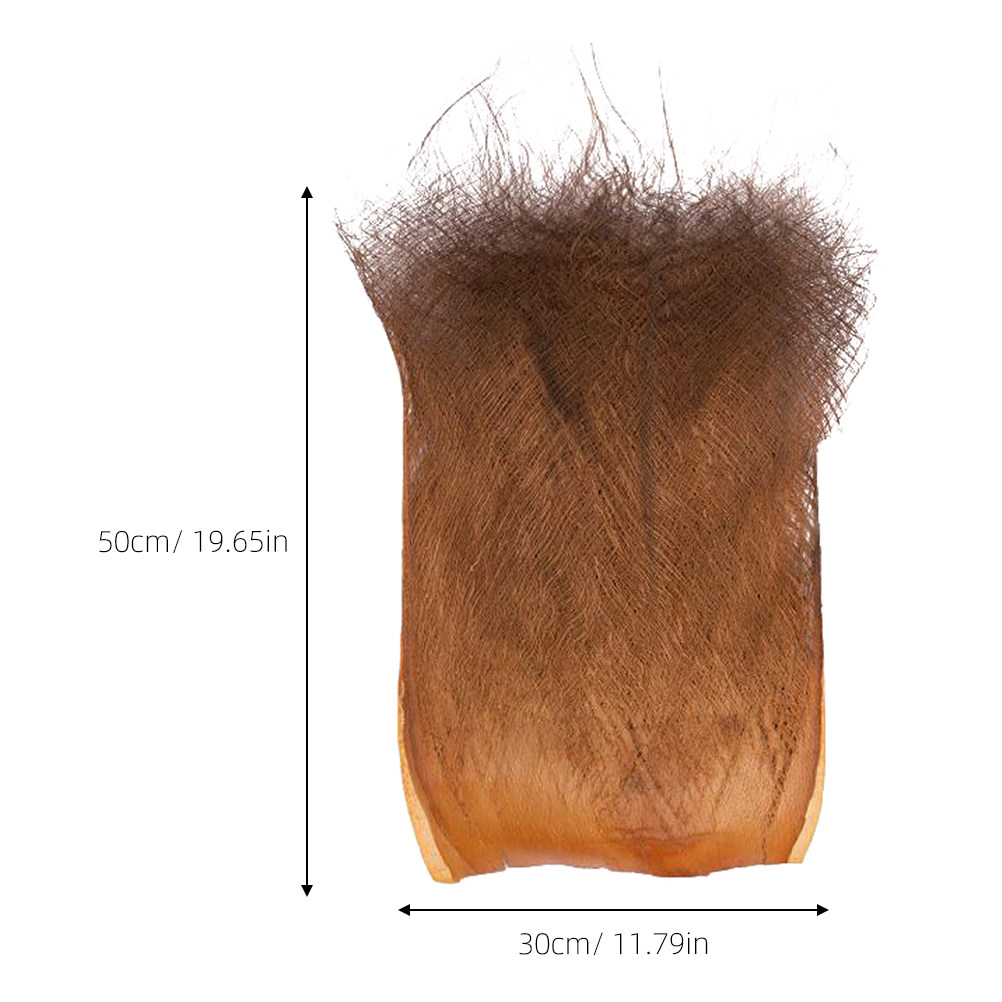 5 Fogli di Corteccia di Palma  - Planted Aquarium Accessories recensione e prezzo