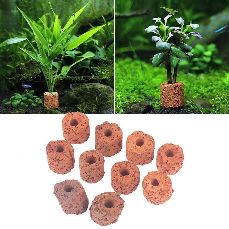 10 Pezzi Anelli in Ceramica pe - Aquarium Plant Utensils recensione e prezzo