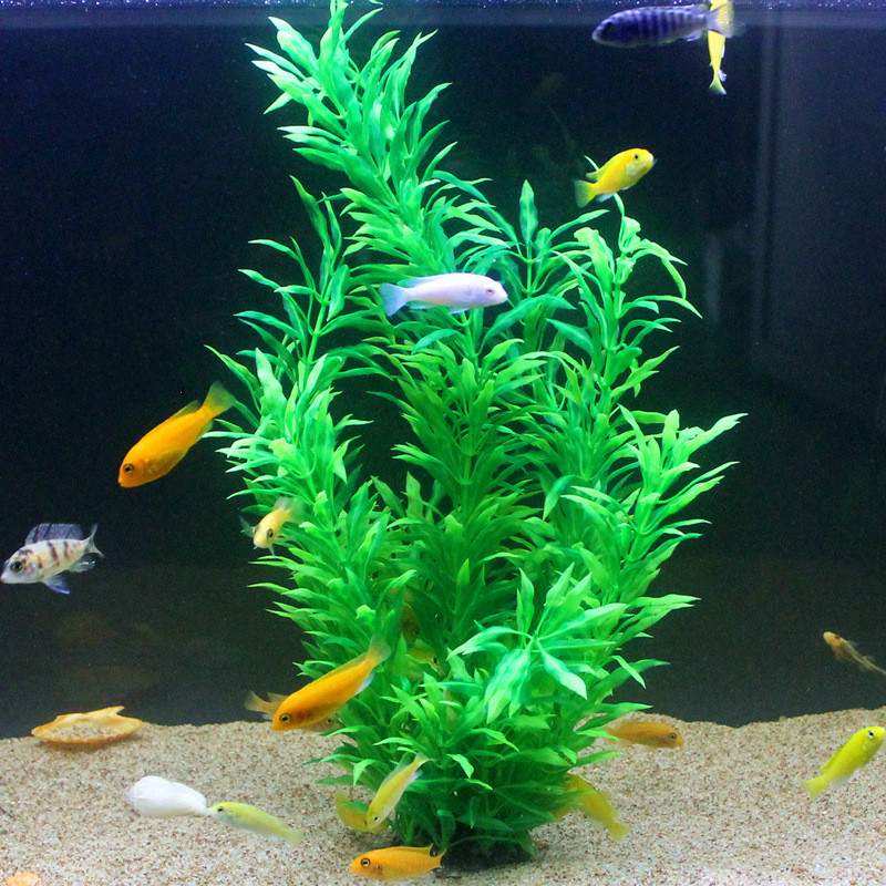 50CM Acquario artificiale Pian - Aquarium Plant Delivery recensione e prezzo