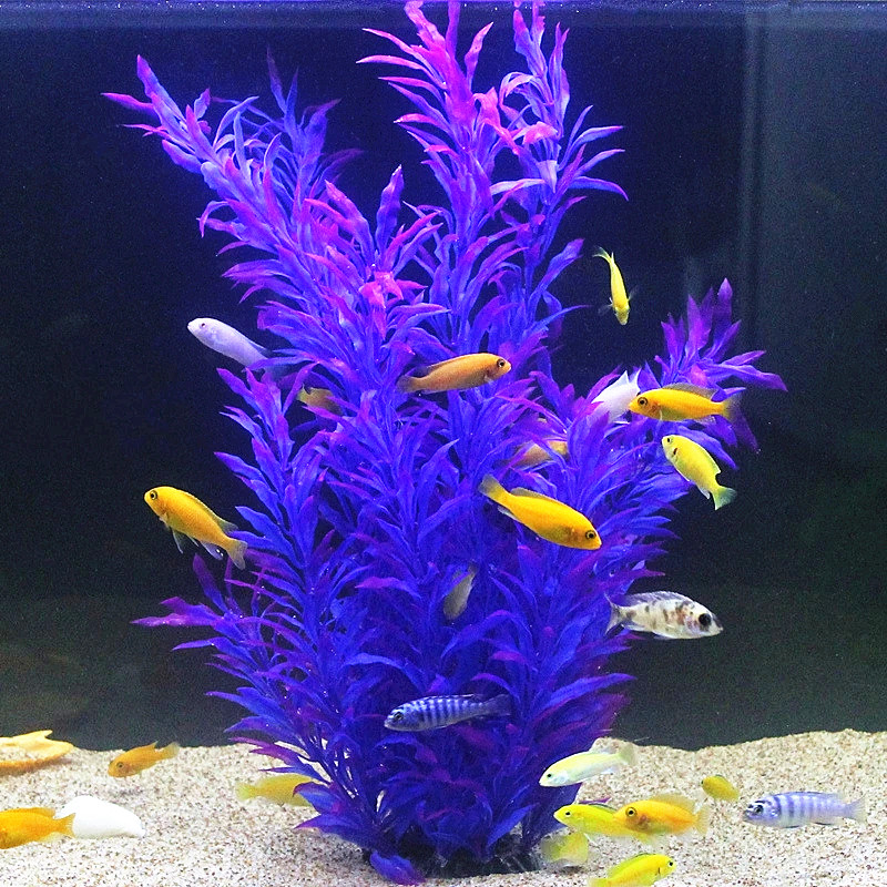 50CM Acquario artificiale Pian - Aquarium Plant Delivery recensione e prezzo