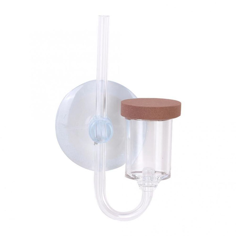 Mini acquario acrilico Pianta  - Aquarium Plant Delivery recensione e prezzo