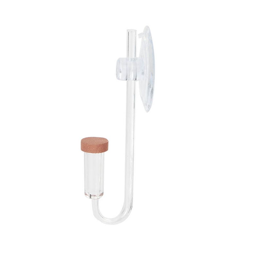 Mini acquario acrilico Pianta  - Aquarium Plant Delivery recensione e prezzo