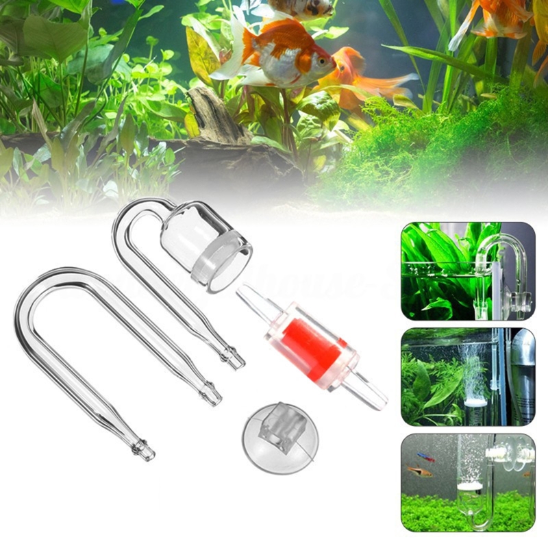 Set da 4 pezzi diffusore di CO - Aquarium Plant Delivery recensione e prezzo