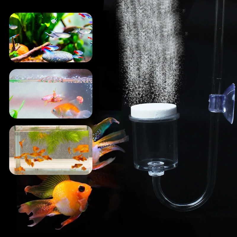 Set da 4 pezzi diffusore di CO - Aquarium Plant Delivery recensione e prezzo